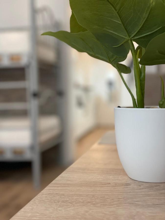 Flatprovider Hp Apartment Viyana Dış mekan fotoğraf
